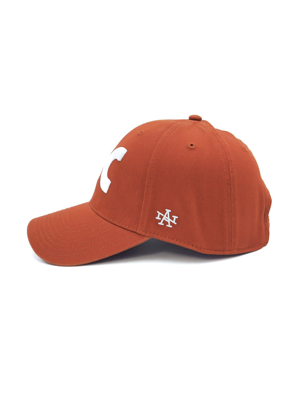 【AMERICAN NEEDLE】Ballpark - Hi-C