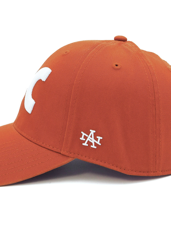 【AMERICAN NEEDLE】Ballpark - Hi-C