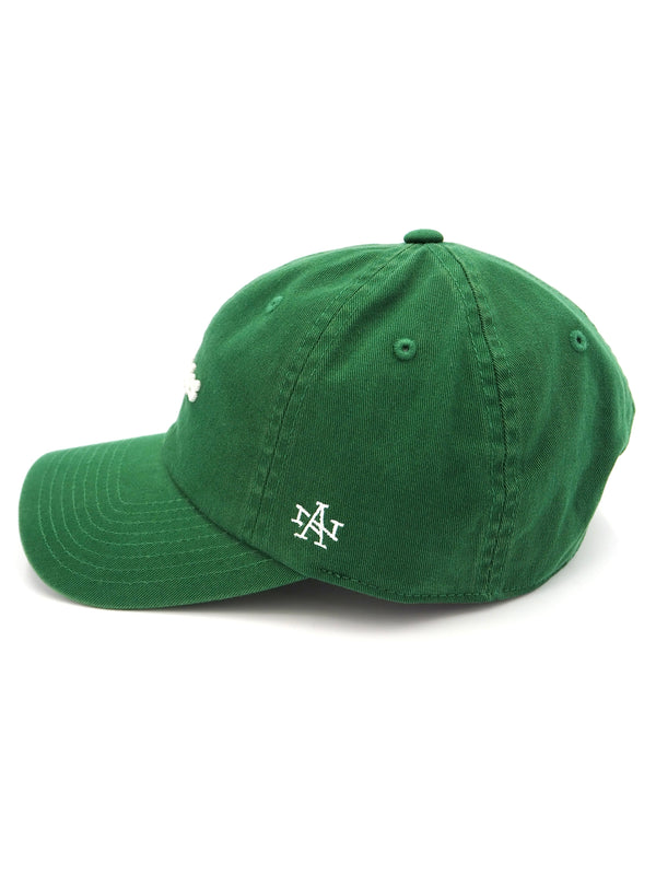 【AMERICAN NEEDLE】 Ballpark -Pickles
