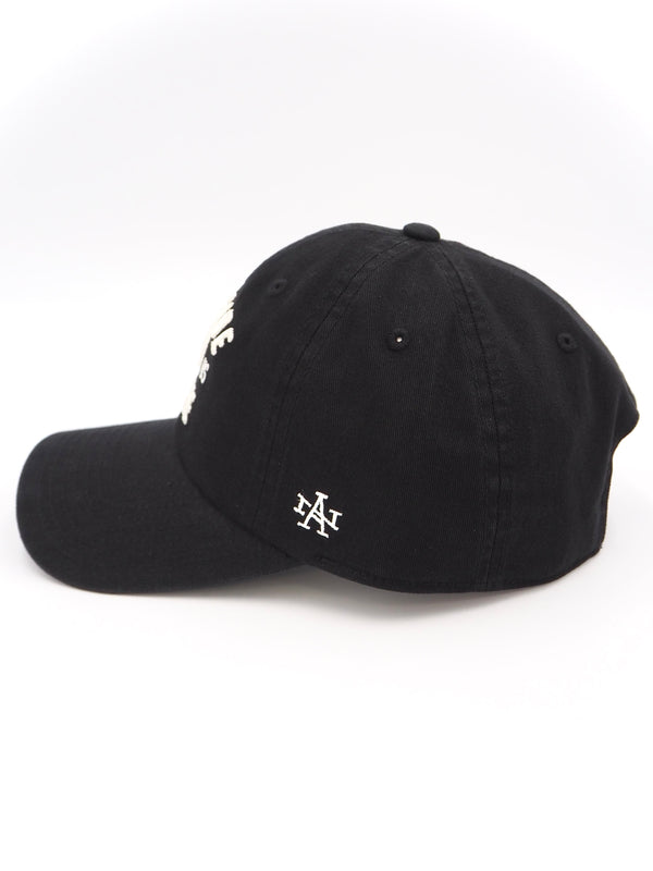 【AMERICAN NEEDLE】 Ballpark Washed - Ironside