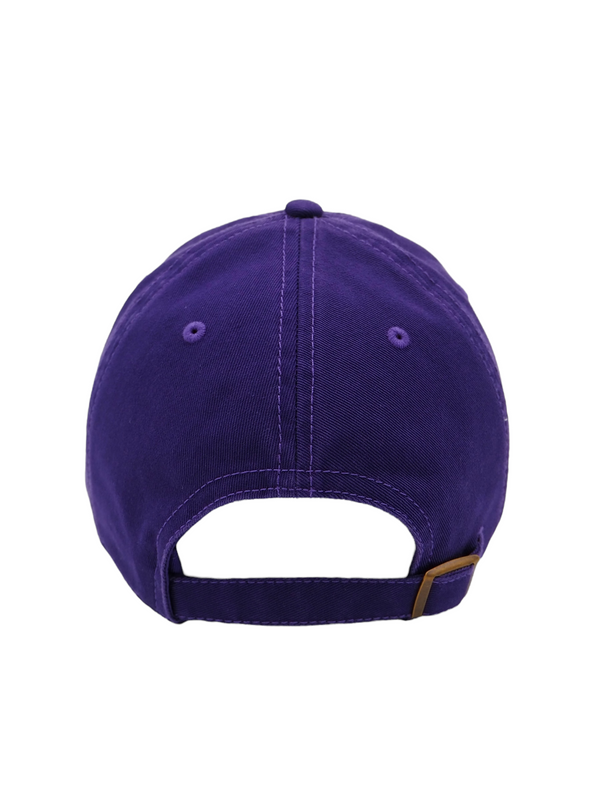 【AMERICAN NEEDLE】 WASHED BALLPARK Hi-C